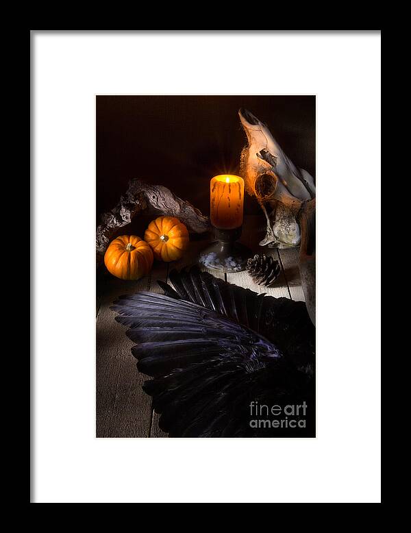 Halloween Still Life Framed Print featuring the photograph Halloween is Coming by Ann Garrett
