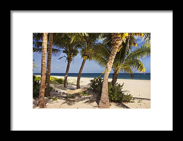 Excellence Playa Mujeres Framed Print featuring the photograph Hammock and palm trees by Yelena Rozov