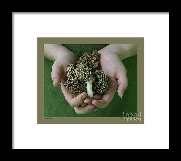 Mushroom Framed Print featuring the photograph Handful of Heaven by Patricia Overmoyer