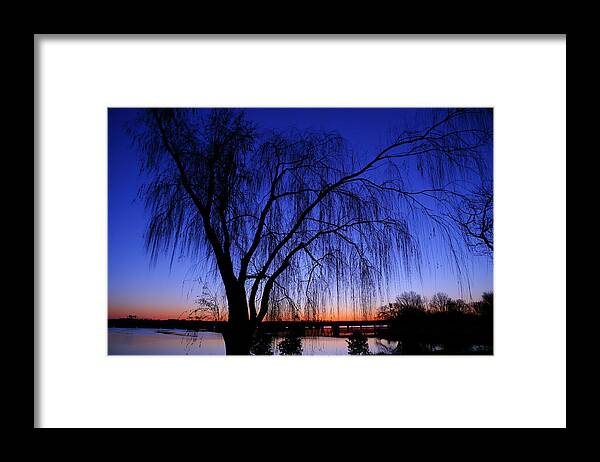 Metro Framed Print featuring the photograph Hanging Tree Sunrise by Metro DC Photography
