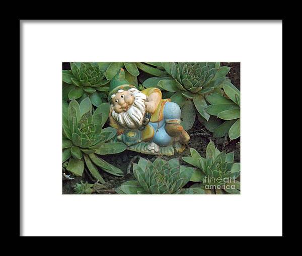 Chick Framed Print featuring the photograph Hanging with the Chicks and Hens by Brenda Brown