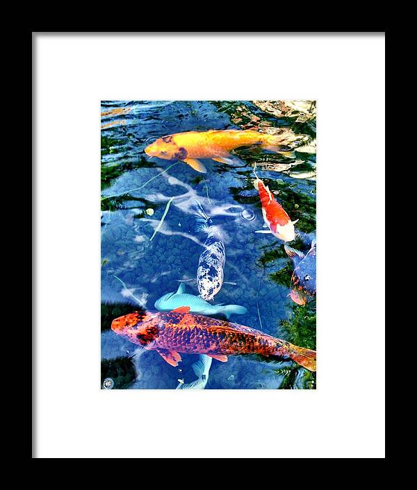 Fishes Framed Print featuring the photograph Happiness by Carlos Avila