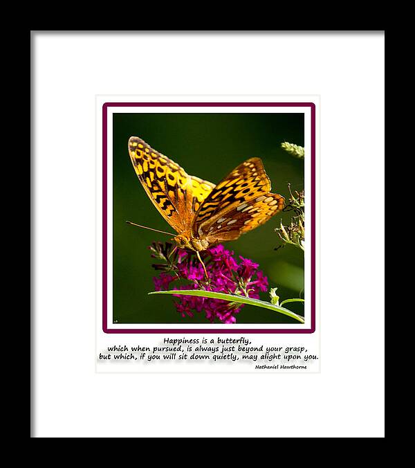 Couple Late Blooms Framed Print featuring the photograph Happiness is Butterfly by Sandra Clark