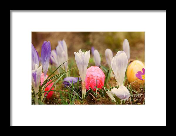 Easter Framed Print featuring the photograph Happy Easter 2 by Christine Sponchia