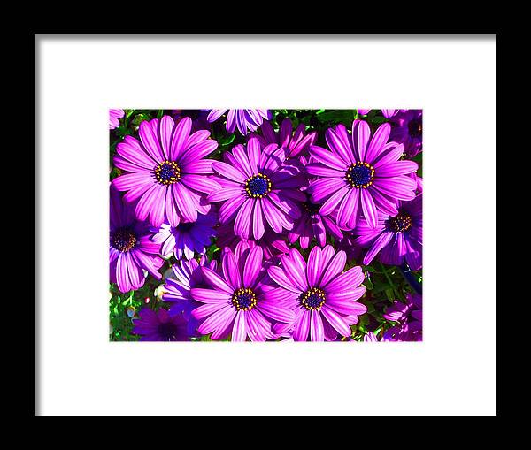 Beautiful Flowers Framed Print featuring the photograph Happy by Julia Ivanovna Willhite