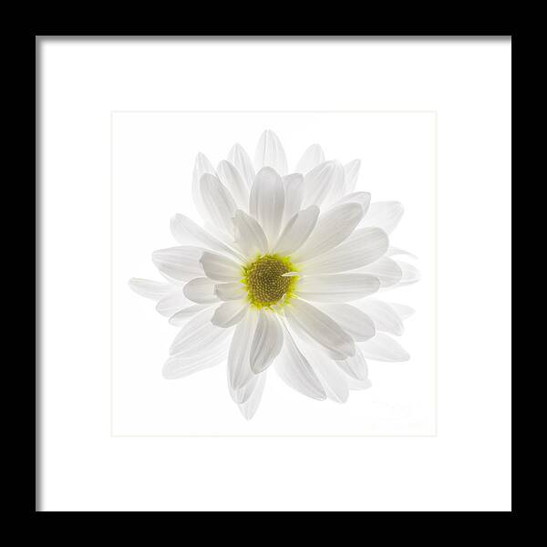 Happy Framed Print featuring the photograph Happy by Patty Colabuono