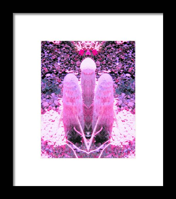 Beautiful Framed Print featuring the photograph Excited Pink Trio Happy to See You by Belinda Lee