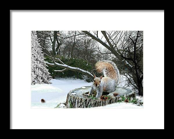 Squirrel Framed Print featuring the mixed media Harry the Squirrel by Morag Bates