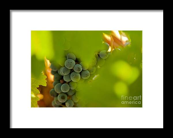 Abstract Framed Print featuring the photograph Harvest Season 2 by Jonathan Nguyen