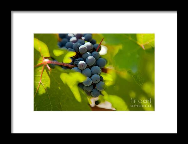 Abstract Framed Print featuring the photograph Harvest Season 3 by Jonathan Nguyen
