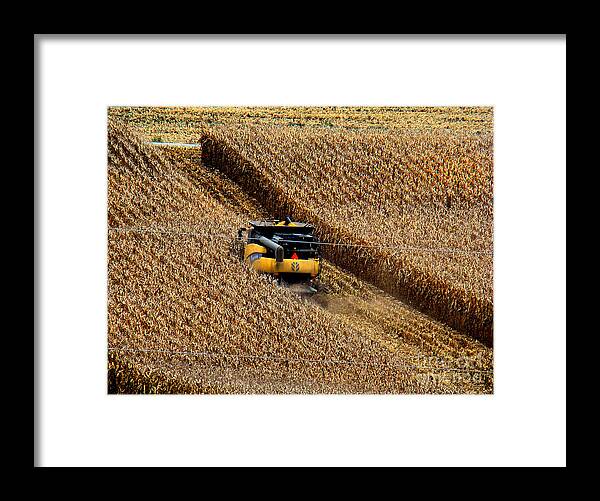 Landscape Framed Print featuring the photograph Harvest Time by Eva Kato