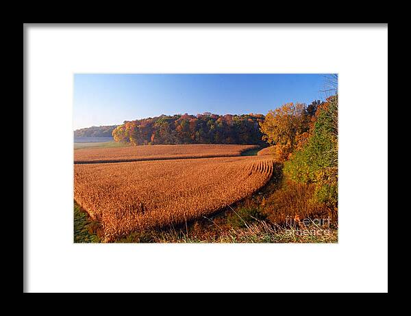 Photography Framed Print featuring the photograph Harvest Time by Larry Ricker