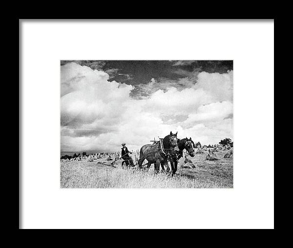 1 Person Framed Print featuring the photograph Harvesting Irish Rye Grass by Underwood Archives