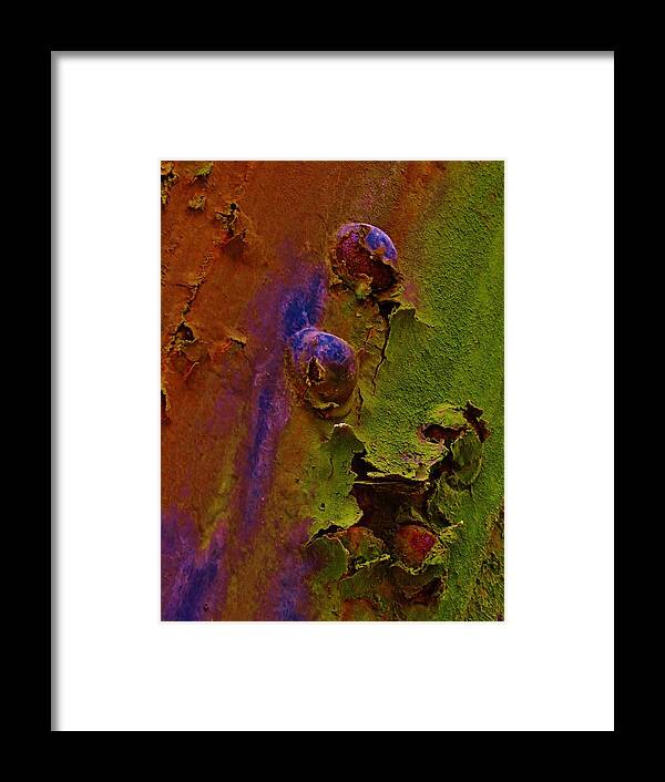 Rust Photographs Framed Print featuring the photograph Hatching Rivets by Charles Lucas