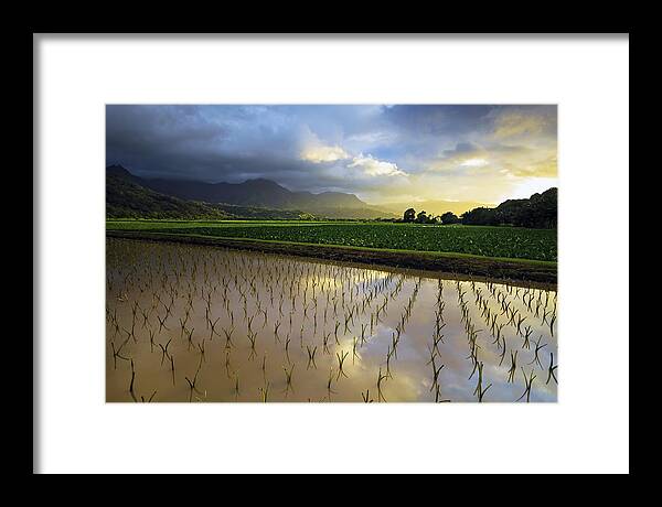 Hawaii Framed Print featuring the photograph Hawaii Kauai Sunset by Douglas Berry