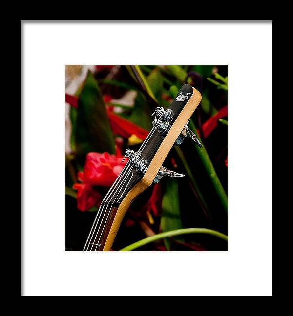 Guitar Framed Print featuring the photograph Hawaiian Slack Key by Craig Watanabe