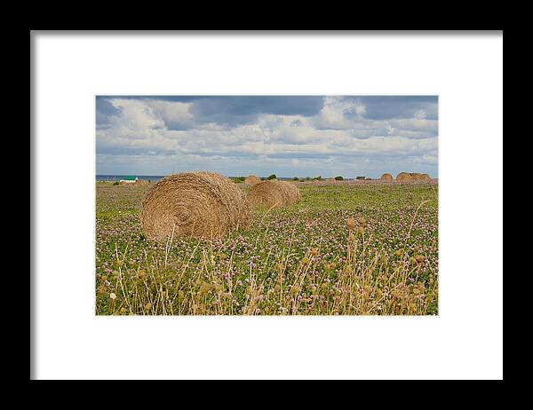 Hay Framed Print featuring the photograph Hay Bales by Allan Morrison