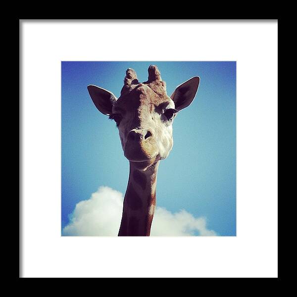 Head Framed Print featuring the photograph Head in the Clouds by Sinead Connell
