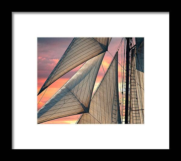 Sails Framed Print featuring the photograph Headsails by Fred LeBlanc