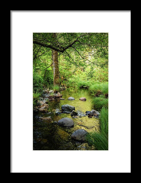 Forest Framed Print featuring the photograph Headwaters Of Santa Rosa Creek, Santa by Ron Koeberer