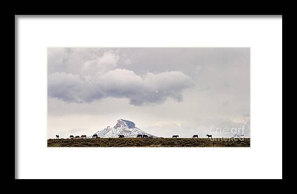 Equidae Equus Caballus Framed Print featuring the photograph Heart Mountain Horses by J L Woody Wooden