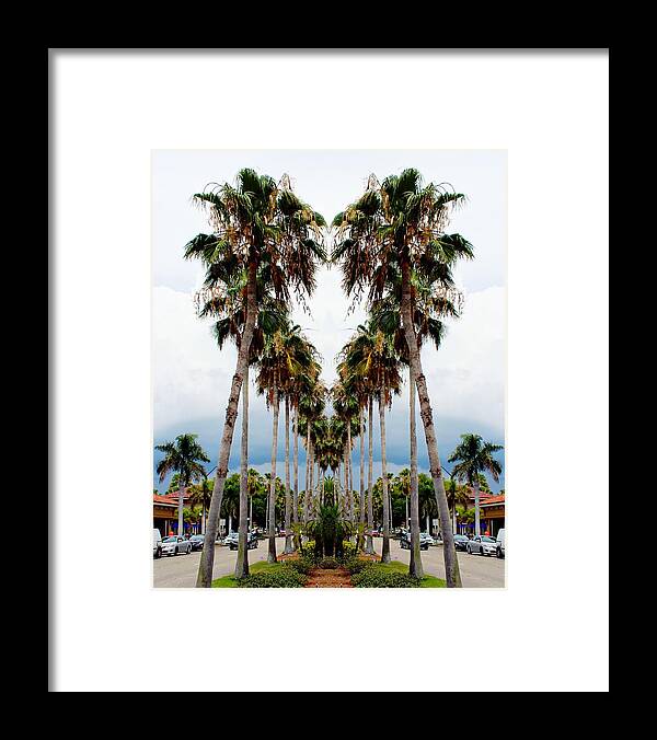Venice Island Florida Framed Print featuring the photograph Heart Of Palms by Barbara Chichester