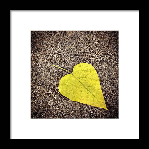 Leaf Framed Print featuring the photograph Heart Shaped Leaf on Pavement by Angela Rath