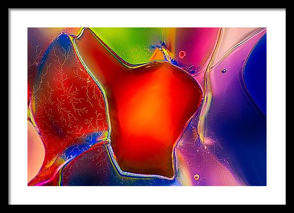 Abstract Framed Print featuring the photograph Hearts by Omaste Witkowski