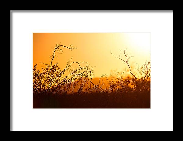 Heat Framed Print featuring the photograph Heat of the Day by Brad Brizek