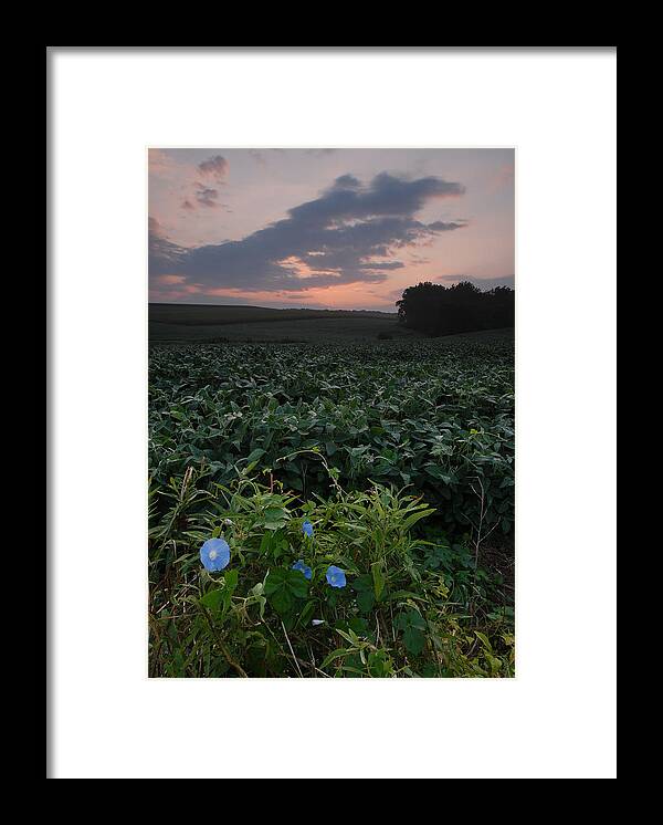  Framed Print featuring the photograph Heavenly Blue by Gregory Blank