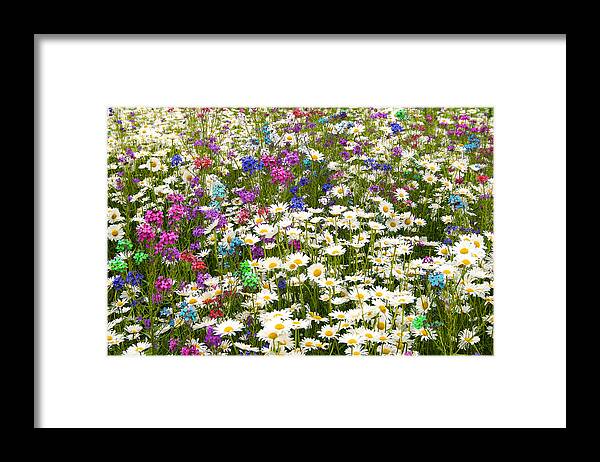 Flower Framed Print featuring the photograph Heavenly Flower Bed by Larry Landolfi