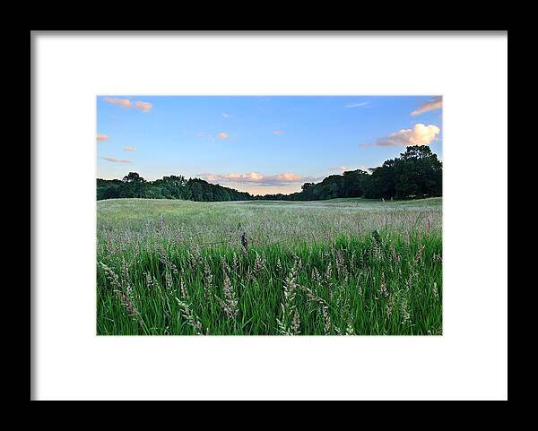 Field Framed Print featuring the photograph Hebron Field by Andrea Galiffi