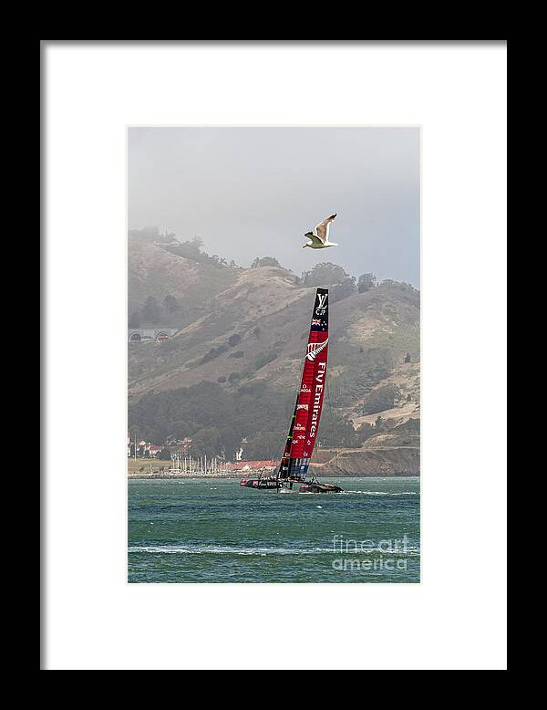 America's Cup Framed Print featuring the photograph Heeling by Kate Brown