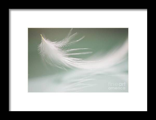 Down Feather Framed Print featuring the Hello again by Ivy Ho