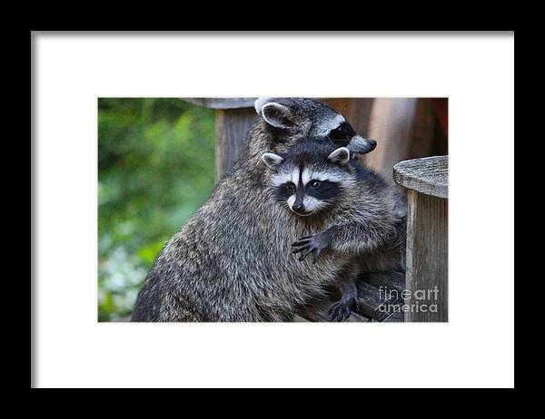 Mammals Framed Print featuring the photograph Help Me Mommy by Kym Backland