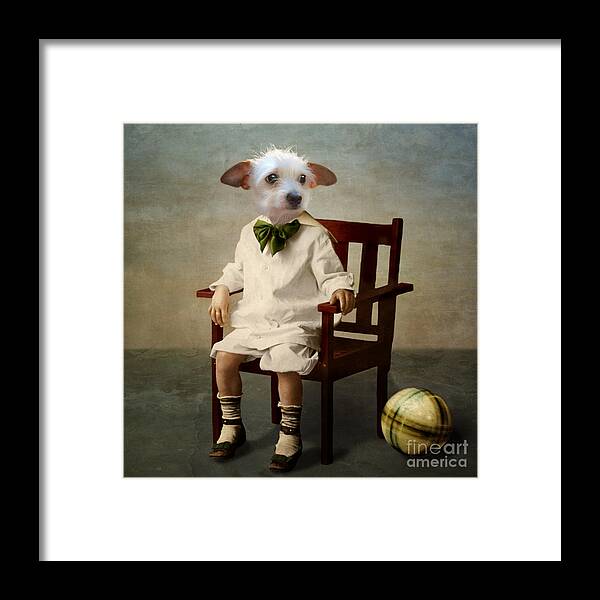 Dog Framed Print featuring the photograph Henri by Martine Roch