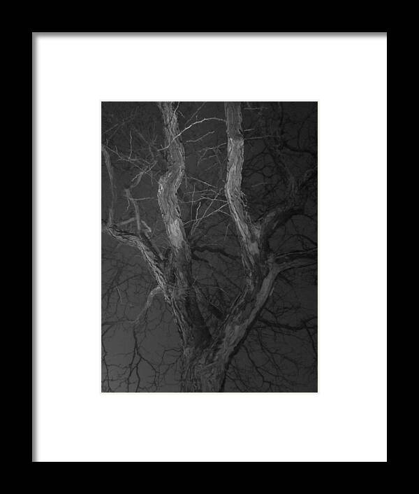 Guy Ricketts Photography Framed Print featuring the photograph Her Heart Full Of Sighs by Guy Ricketts