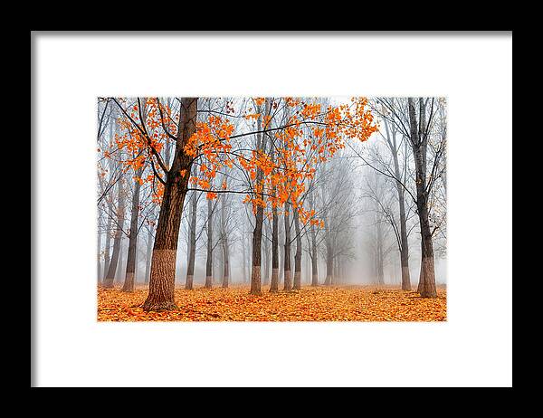 Bulgaria Framed Print featuring the photograph Heralds Of Autumn by Evgeni Dinev