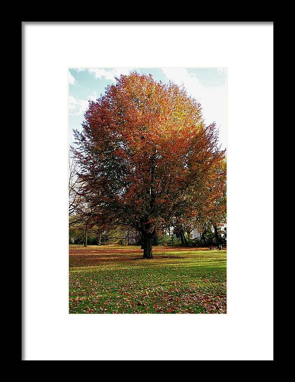 Tranquility Framed Print featuring the photograph Herbstleuchten by Oliver Driesen