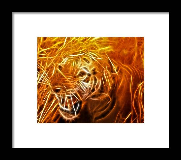 Tiger Framed Print featuring the photograph Here Kitty Kitty by Bill Barber