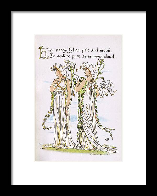 Plants Framed Print featuring the drawing Here Stately Lilies, Pale And Proud by Mary Evans Picture Library