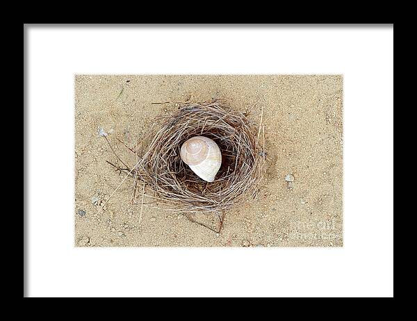 Freaky Framed Print featuring the photograph Hermit by Michal Boubin