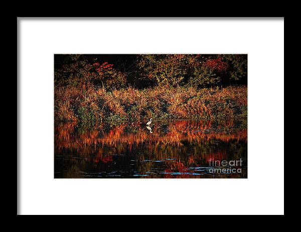 Great Blue Heron Framed Print featuring the photograph Heron Hideaway by Elizabeth Winter