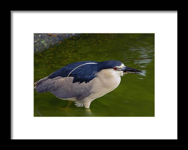 Bird Framed Print featuring the photograph Heron on Green by Bill and Linda Tiepelman