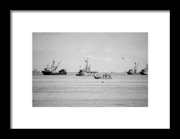 Seagulls Framed Print featuring the photograph Herring Season Georgia Strait by Roxy Hurtubise