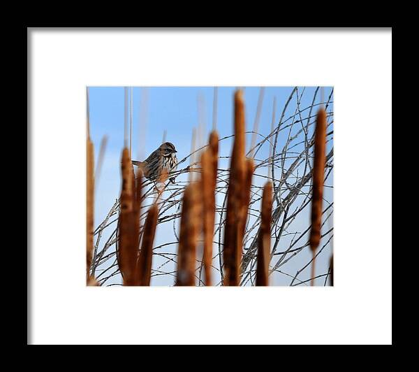  Framed Print featuring the photograph Hey There by Lisa Walls
