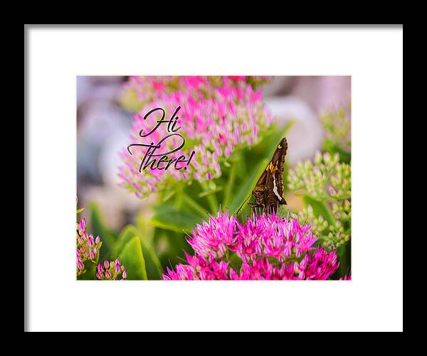 Hi There Greeting Card. Butterfly. Pink Flowers. Green Leaves. Photography. Word Art. Nature. Wildlife. Print. Framed Print featuring the photograph Hi There by Mary Timman