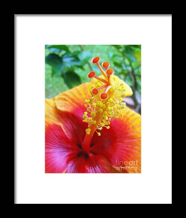 Hibiscus Framed Print featuring the photograph Hibiscus Antennae by Sue Melvin
