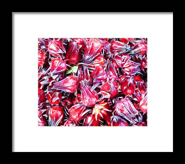 Flower Framed Print featuring the photograph Hibiscus Buds by Penny Pesaturo
