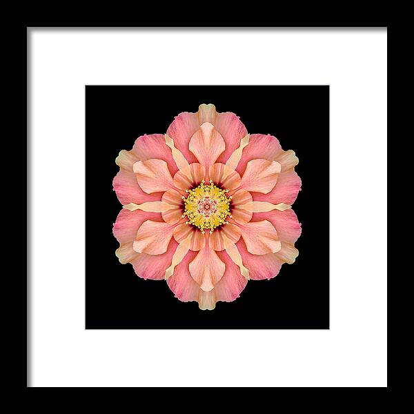 Flower Framed Print featuring the photograph Hibiscus Rosa-sinensis I Flower Mandala by David J Bookbinder